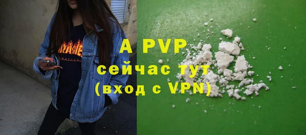 дурь Переславль-Залесский