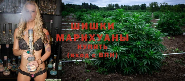 Альфа ПВП Пестово