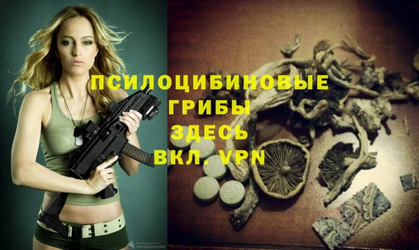 Альфа ПВП Пестово