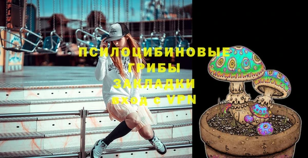 Альфа ПВП Пестово