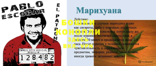 Альфа ПВП Пестово